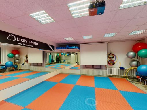 PALESTRA – VŠ tělesné výchovy a sportu