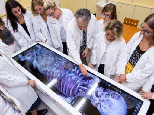 Lékařská fakulta UK v Plzni – Procháskův ústav