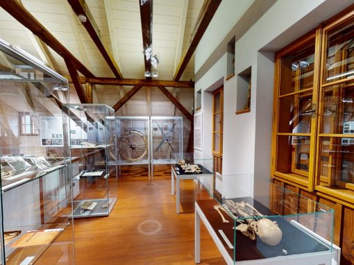 Muzeum Českého ráje – výstava2