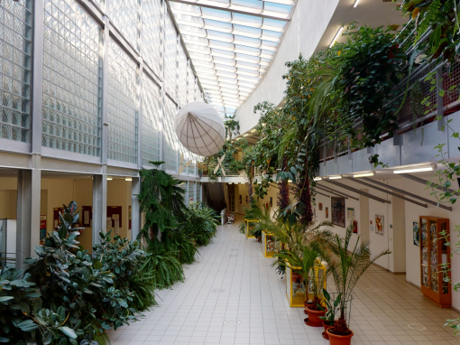 Gymnázium a Obchodní akademie Orlová